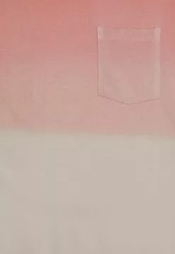 INDICODE JEANS CLIFF - T-shirt Basique - Cameo Rose -INDICODE JEANS Boutique 382e5b65ad5841d8876366b17014ac44