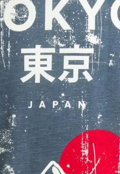 INDICODE JEANS WELCH - T-shirt Imprimé - Marshmellow -INDICODE JEANS Boutique 390560edecc6464d9e74aa0d9b405542