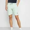 INDICODE JEANS BRENNAN - Short - Quiet Wave