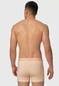 INDICODE JEANS 4 PACK - Caleçon - Peach/green -INDICODE JEANS Boutique 66ae817282ef46879530d55e0d491275