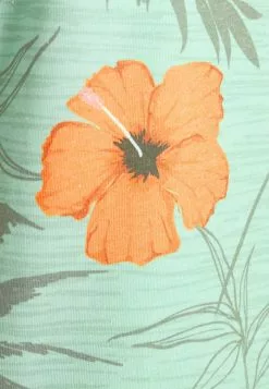 INDICODE JEANS CADIZ BRILIANT - T-shirt Imprimé - Quite Wave 12 INDICODE JEANS CADIZ BRILIANT - T-shirt Imprimé - Quite Wave -INDICODE JEANS Boutique 69380b270d474146bae8f6c631ee93f6