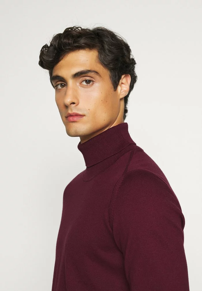 INDICODE JEANS BURNS - Pullover - Zinfandel 4 INDICODE JEANS BURNS - Pullover - Zinfandel – Image 4