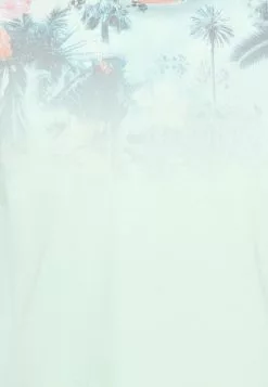 INDICODE JEANS PALENCIA - T-shirt Imprimé - Pastel Green 5 INDICODE JEANS PALENCIA - T-shirt Imprimé - Pastel Green -INDICODE JEANS Boutique 86b308e6f526499285639aab36557cd3