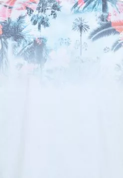 INDICODE JEANS PALENCIA - T-shirt Imprimé - Sky Way -INDICODE JEANS Boutique ae910f6976114634b6633c620616958f